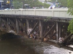 Menyapa Para Penghuni Kolong Jembatan di DKI Jakarta 