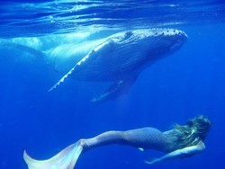 Si Putri Duyung dari Australia, Menjelajah Laut dengan Sirip Buatan