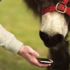 Heboh Anak Haram Bill Gates Hingga Ultrabook Liliput