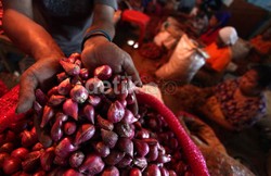 Di Indonesia, Hanya Batam yang Harga Bawang Merahnya Turun 