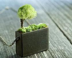 Unik, Bunga dalam Pot Disulap Jadi Kalung dan Cincin