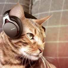 Nokia Bikin Microwave, Samsung Ciptakan Pohon Pintar