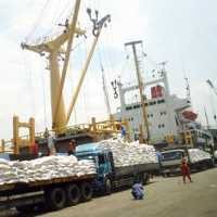 Ini 10 Pangan Impor yang Masuk Selama Februari 2013 (1)