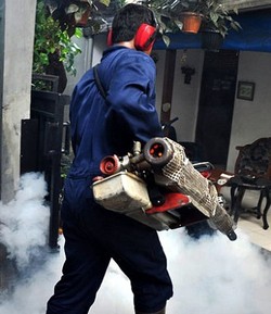 Joko Susilo Meninggal Digigit Nyamuk Demam Berdarah