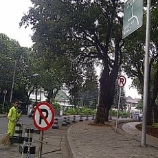 Ratusan Motor Tumplek, Taman Suropati Butuh Parkir Motor