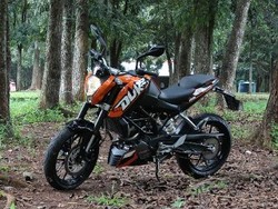 Asyiknya Street Fighter Asal Austria