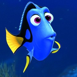 Sekuel Finding Nemo, Finding Dory Rilis November 2015