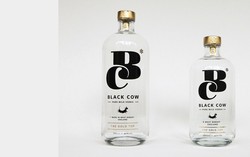 Black Cow, Vodka Hasil Fermentasi Susu Pertama di Dunia