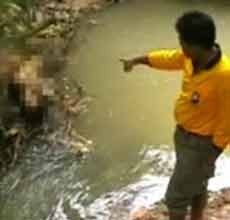 Mayat Wanita Tanpa Baju Ditemukan Tersangkut Akar Pohon