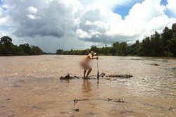 Demi Miras, Pria Bugil Nekat Dekati Buaya Australia