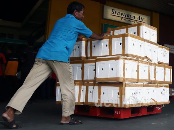 Cargo Bandara Soeta Terus Meningkat