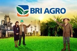 Laba BRI Agro Stagnan di Rp 33 Miliar