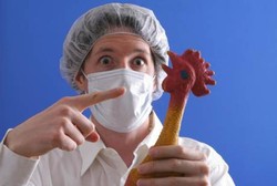 Waspada Virus Flu Burung Jenis Baru, Kemenkes Surati Dinas Kesehatan