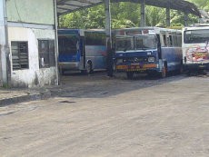 Sertakan Modal 1.000 Bus ke PPD, Pemprov DKI Ingin Buka Bekasi-Dukuh Atas