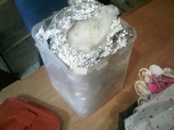 1 Nakhoda & 4 TKI Ditangkap Bawa 1,5 Kg Sabu di Batam