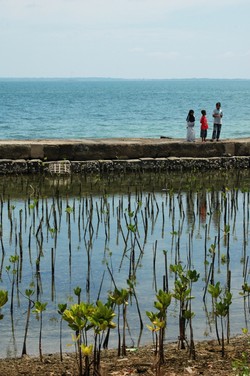 Exploration Untung Jawa, Rambut & Pari Island