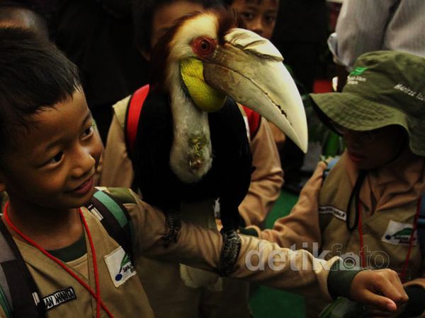 Burung Langka Curi Perhatian Pengunjung JCC