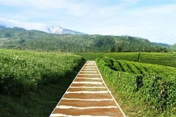 Orang Jakarta ke Puncak, Orang Makassar ke Malino