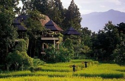 Rem Blong, Bus Wisata Thailand Jatuh ke Jurang