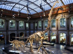 10 Museum Dinosaurus Paling Keren di Dunia
