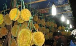 Geliat Malam di Kota Pontianak