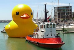 Bebek Kuning Raksasa Akan Berenang di Hong Kong