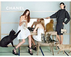 Foto: Parodi Iklan Fashion Paling Lucu & Menarik