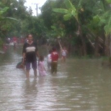 Banjir Luapan Bengawan Solo Meluas Ke Tuban