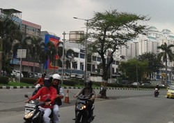 Hati-hati, Ada Pohon di Tengah Jalan Mitra Sunter Boulevard Jakut