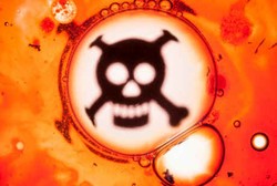 Racun-racun Paling Mematikan yang Memiliki Efek Mengerikan