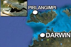 Lagi-lagi Buaya Meneror Australia