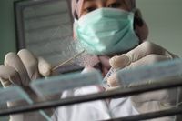 Di Tempat Ini, Dahak Pasien TBC Diwarnai Lalu Diamati