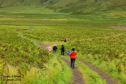 Gunung Bromo, Semua Orang Akan Jatuh Cinta Padanya
