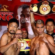 Chris John dan Daud Yordan Dinyatakan Layak Tanding