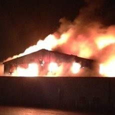 Kebun Binatang di Inggris Terbakar, Puluhan Hewan Mati