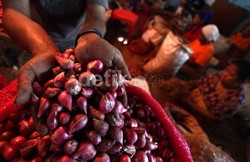 Harga Cabai Rawit & Bawang Merah di Pasar Tradisional Turun Drastis