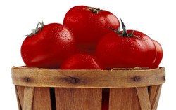 Kolesterol Darah Tinggi? Perbanyak Makan Tomat dan Kedelai!