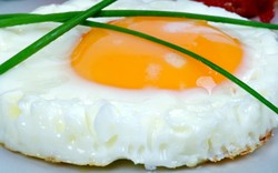 Khasiat Putih Telur Terbukti Sehebat Obat Hipertensi