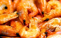 Benarkah Udang Berkolesterol Tinggi?