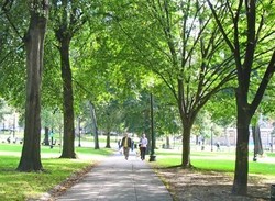 Boston, Kota Cantik yang Dikoyak Ledakan Bom