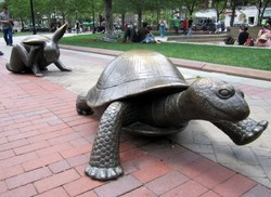 Kelinci dan Kura-kura di Balik Tragedi Boston Marathon