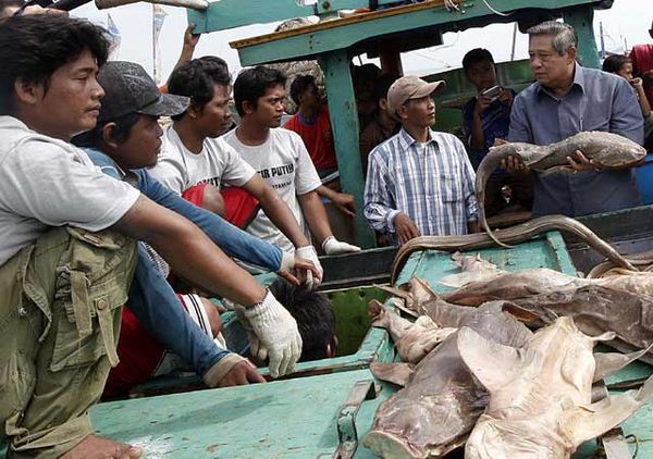 SBY Blusukan ke Kampung Nelayan Karawang