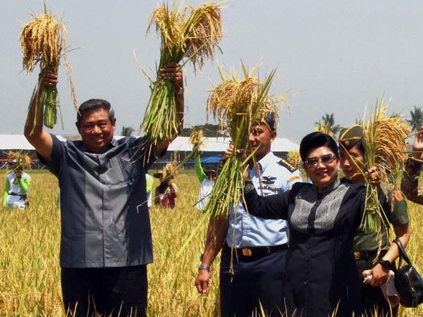 SBY Panen Raya di Karawang
