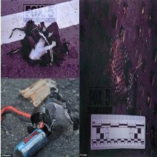  Ini Sisa-sisa Gotri, Tas dan Detonator Bom Boston