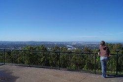 Ada Kadal Berlidah Pink di Mount Coo-tha, Brisbane