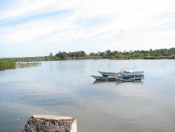 Surfing di Jawa Barat? Datang ke Batu Karas!