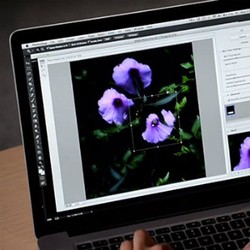 Adobe Siapkan Sihir Pengubah Foto Blur Jadi Tajam