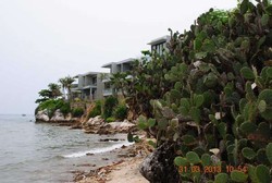 Tanjung Kodok: Namanya Lucu, Naik Perahunya Asyik