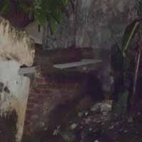 Hii...Hantu Ular Terekam Kamera Penghobi Foto Penampakan