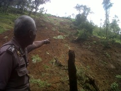  Tebing di Garut Longsor, 3 Petani Tertimbun